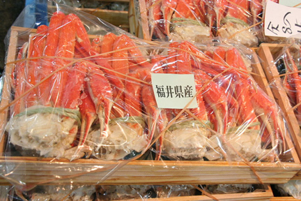 水がに