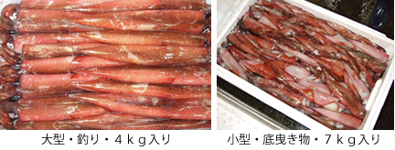 大型・釣り・４ｋｇ入り、小型・底曳き物・７ｋｇ入り