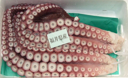 水だこ（煮だこ）