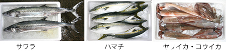 Fish2_2