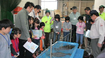 ２番せりの親子見学会
