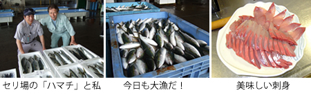 ハマチ