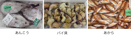 あんこう、バイ貝、あから