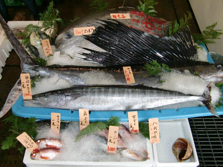 魚