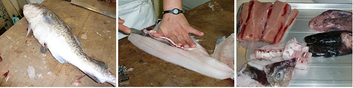 Photo_2