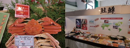 商品展示商談会2013