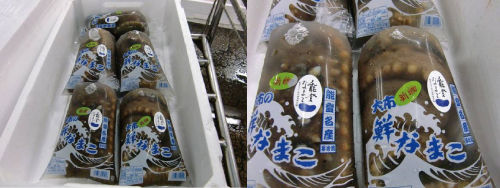 「カニ漁解禁」！