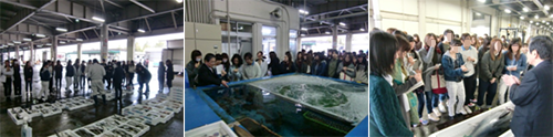 市場見学