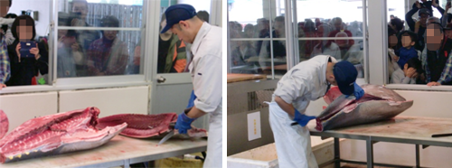 マグロ解体の様子