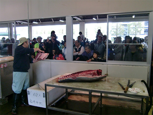 本マグロの解体ショー
