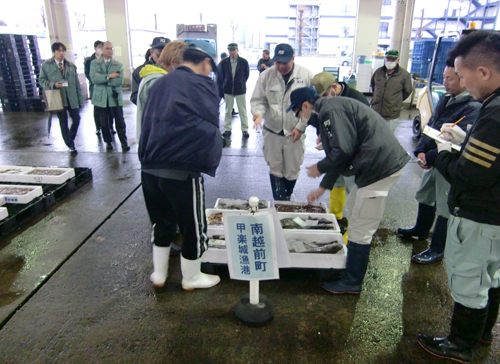 近海今朝とれ市
