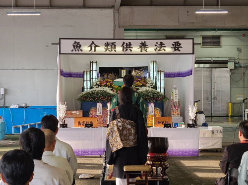 お魚供養