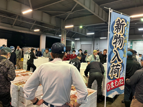 初セリ